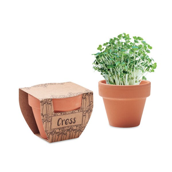 CRESS POT Krassefrön i terakottakruka - GiftRetail MO2219