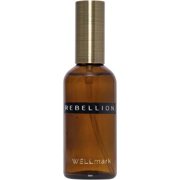 WELLmark 126407 - Wellmark 100 ml rumsspray